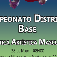 GAM - Campeonato Distrital Base